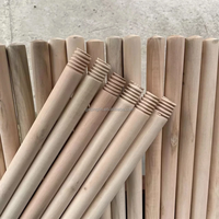 Balai portable en bois d'eucalyptus naturel, poignées durables, poils doux et écologiques, prix avantageux de Chine