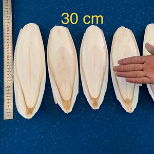 Os de seiche de haute qualité tamisé, désinfecté et classé - Product Image 6