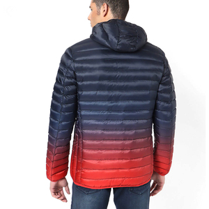 Imprimé 2024 poche à capuche doudoune hiver doudounes 2024 couleur unie hommes décontracté épais chaud bouffant vestes - Product Image 2