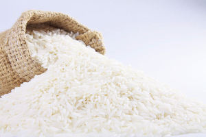 Arroz Jazmín Orgánico Fresco de Primera Calidad, 5% de Grano Partido, 25kg/50kg, Arroz Blanco, Disponible en Grandes Cantidades - Product Image 6
