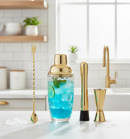 Ensemble de 4 verres à jus en verre de luxe pour bar, outil de bar, mélangeur en métal, bouteille à mélanger, pot à vin de Boston, shaker à cocktail avec cuillère