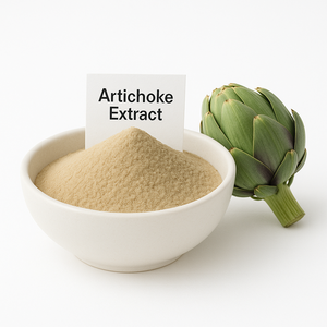 Инулин пищевой, сертифицированный халяль, экстракт корня цикория (хурма), 90% чистый порошок, экстракция растворителем, фасовка в бочки - Product Image 1