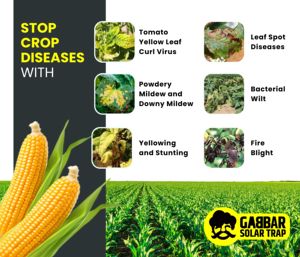 Chipku ดักแมลงพลังงานแสงอาทิตย์ขนาดเล็กสำหรับการเกษตรที่มีแสงยูวีกับดักพลังงานแสงอาทิตย์สำหรับแมลงศัตรูพืชทางการเกษตรจับ - Product Image 6