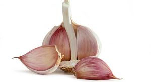 Organic <b>Fresh</b> <b>Garlic</b> for Food Use - Product Image 5