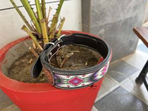 Collier de chien en cuir Offre Spéciale usiné à la main crâne motif occidental colliers pour animaux de compagnie en cuir usiné à la main en gros produit en vrac multi-usages - Product Image 4