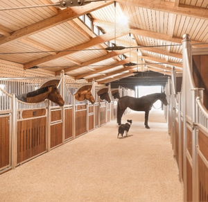 4m x 4m Seepoem安定した耐久性のある亜鉛メッキ金属製ウッド構造通気性の良い新しい状態のホースシェルター - Product Image 3