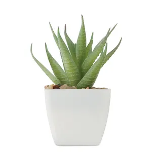Plante artificielle personnalisée en taille mini pour la décoration de la maison - Product Image 4