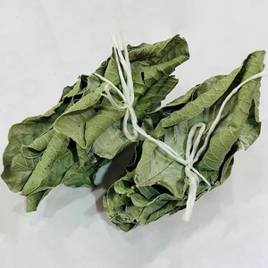 El precio más bajo de hojas de guayaba a granel, hojas de guayaba naturales para hacer bebidas de té de hierbas - Product Image 2