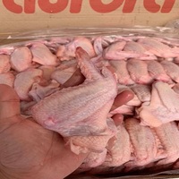 Sayap Ayam Beku 2 Bagian Berkualitas Tinggi Premium Proses IQF Kemasan Vakum 25kg Makanan Bergizi Persiapan Makan Malam Sehat