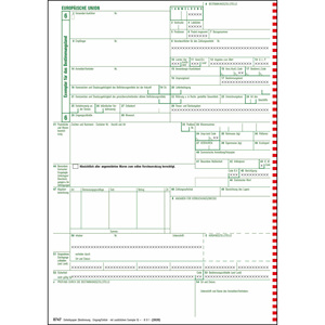 0747 Determinazione - Ingresso / Importazione - Product Image 1