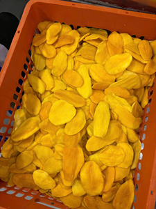Vietnam soft dried mango for artisanal chocolate dipping confectionery manufacturing with fresh harvest quality natural texture - Product Image 3