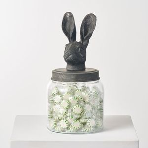 Hot Bán Kích Thước Khác Nhau Kín Lưu Trữ Jar Nhà Bếp Tổ Chức Lọ HA 1008 Thỏ Nắp Kim Loại 2023 Cà Phê Trà Thủy Tinh Gỗ Nắp - Product Image 3