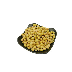 Soja en vrac séché biologique de haute qualité avec OGM et soja sans OGM à vendre - Product Image 1