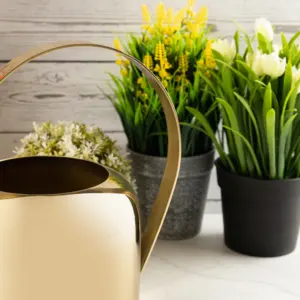 Arrosoir en laiton multifonctionnel 1,8 L Écologique pour les plantes et les fleurs d'intérieur et d'extérieur - Product Image 2