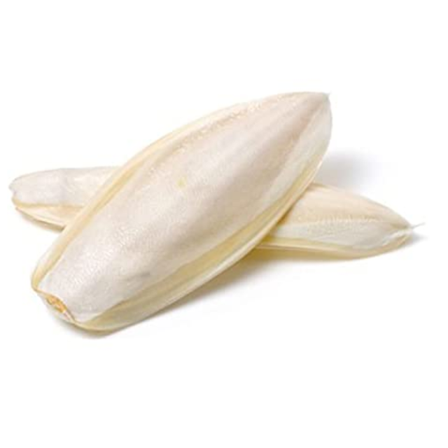 Wholesale Supply Top-grade Dried Cuttlefish Bone (1st Grade) VIET DELTA Brand for Pet Stores Breeders Vietnam Supplier Good
