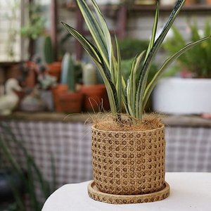 Handmade Planters Customized Design & Size Decorative Net Planters Rattan Net Planters Flower Pots for Indoor Outdoor Planting - Product Image 1