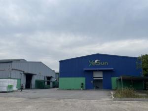 Suministro a Granel de Insertos de Espuma EPE Industrial, Fábrica en Vietnam - Product Image 3