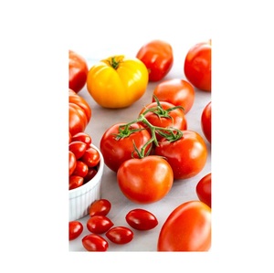Tomate fresco de grado superior a la venta Precios asequibles Tomates frescos y limpios empaquetados para exportación y suministro minorista - Product Image 3