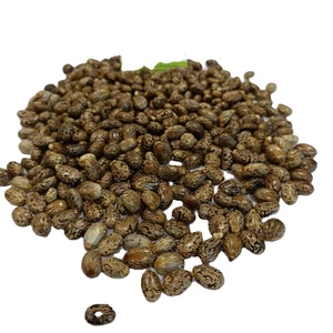 Semillas De Ricino Para Tu Jardín: 20 Unidades De Variedades Antiguas Y Sostenibles – ¡Atrae Mariposas Y Colibríes!