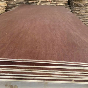 Tablero de Madera Contrachapada de Bintangor de Primera Calidad, Suministro de Fábrica de Vietnam - Product Image 1