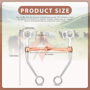 Cheval de qualité supérieure anglais équitation laiton Eggbutt Double articulation mèche culotte équine bride peu contrôle efficace doux - Product Image 2