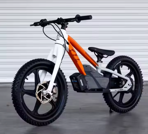 High Quality 2025 NEW H D EBike 18E <b>Drive</b> Adventure Tour Editions Bike - Product Image 2