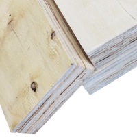 4X8 pieds 1/2 3/4 5/8 épaisseur coffrage laminé autres portes plancher de terrasse en bois contreplaqué extérieur fabriqué au Vietnam usine en Stock