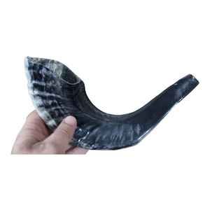 Shofar ฮอร์นแกะธรรมชาติแบบเต็มรูปแบบสำหรับตกแต่งบ้านงานฝีมือทำมือฮอร์นแกะ - Product Image 4