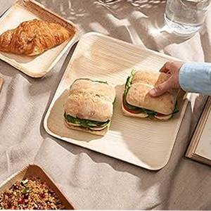 Assiettes jetables carrées en feuille de palmier Areca Vaisselle écologique pour événements et mariages au prix le plus bas - Product Image 3