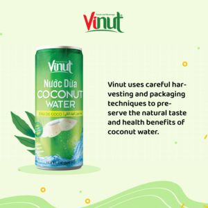 Boisson à l'eau de coco NFC, boisson aux fruits tropicaux, canette en aluminium 330ml, vente en gros VINUT pour les distributeurs - Product Image 2