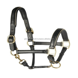 Top qualité fait à la main en cuir noir ou marron cheval licou de luxe double couture doux rembourré cheval course licou à bas prix - Product Image 6