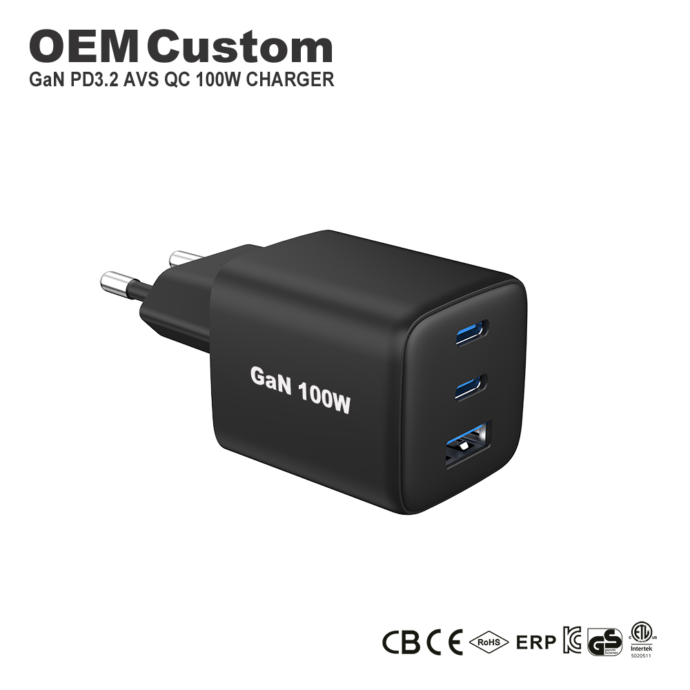 Chargeur 100W Noir