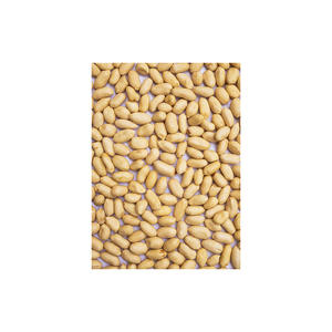 Granos de cacahuetes blanqueados a la venta a granel a buen precio al por mayor - Product Image 3