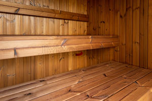 Kit Elite Outdoor smart Sauna Room Spa à vapeur en bois de cèdre rouge du Canada noir pour le bien-être - Product Image 6