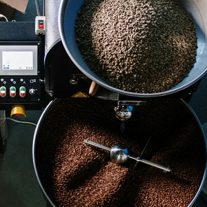 Café Robusta de qualité supérieure, torréfié, processus Honey, en vrac, torréfaction moyenne, service OEM/ODM disponible - Product Image 3