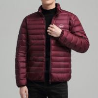 Vestes d'hiver matelassées décontractées à capuche zippées pour hommes, de haute qualité, imperméables, respirantes, grandes tailles, vente en gros