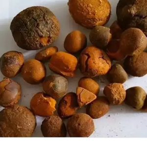 Cálculos biliares de buey de vaca de la más alta calidad Mejor precio Suministro directo Buey fresco a granel Bezoar Extractos animales de la más alta calidad - Product Image 3