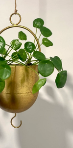 Stylish Gold <b>Hanging</b> <b>Planter</b> Handle <b>Indoor</b>-Outdoor Home Garden Decorative Flower Vase <b>for</b> Plants <b>Hanging</b> Baskets Product - Product Image 6