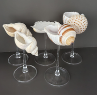 Verre à vin en coquillage créatif avec aspect perlé pour la vaisselle de luxe et les cadeaux
