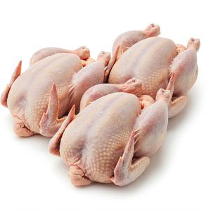Poulet entier frais, nettoyé et emballé hygiéniquement, livré réfrigéré ou congelé, idéal pour les acheteurs de détail en vrac et les transformateurs d'aliments - Product Image 3
