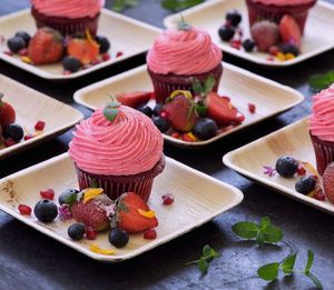 Platos de hoja de palma biodegradables de 10 pulgadas respetuosos con el medio ambiente, vajilla sostenible compostable para restaurantes, eventos, vajilla ecológica