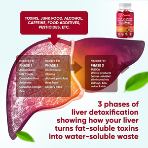 Vente flash : Gummies à la racine de betterave pour la détoxification du foie, soutien immunitaire, détoxification du foie biologique, soutien du foie à base de plantes, réparation et nettoyage des gummies - Product Image 3