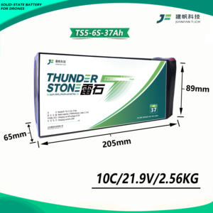 Batterie UAV semi-solide Thunder Stone TS5 de premier ordre, 6S 37000mAh 340Wh/kg 3C/10C, pour les performances des drones VTOL et logistiques - Product Image 3