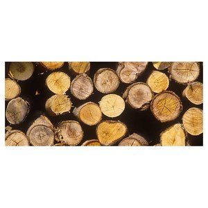 Motosierra Inalámbrica Einhell 18V Ge LC 18 Li con Barra de 25cm PXC 4501761 - Batería No Incluida - Product Image 2