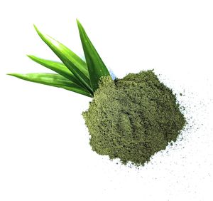 Le fabricant de poudre de feuilles de pandan fournit une poudre de feuilles de pandan de haute qualité en vrac poudre de feuilles de pandan d'Asie du Sud-Est - Product Image 2