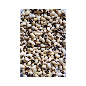 Haricots noirs en vrac positionnés pour une approvisionnement et une distribution économiques - Product Image 4