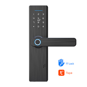Serrure de porte intelligente avec poignée à empreintes digitales, mot de passe numérique électronique, étanche, carte RFID, Smartsteps - Product Image 1