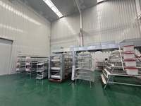 Nouveau système de cages à poulets automatiques de type H avec convoyeur de collecte des œufs, ligne d'alimentation et système d'abreuvement pour usage agricole