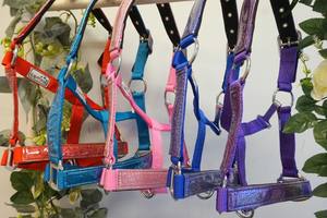 Boucles de matériel de licou de cheval en nylon durable Colliers de tête de cheval en cuir personnalisés avec sangle en PVC en laiton et en acier - Product Image 6