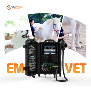 Appareil de thérapie par ondes de choc électromagnétiques EMFOCUS VET FSWT pour chevaux, traitement des blessures des tendons et des ligaments, soulagement de la douleur - Product Image 1